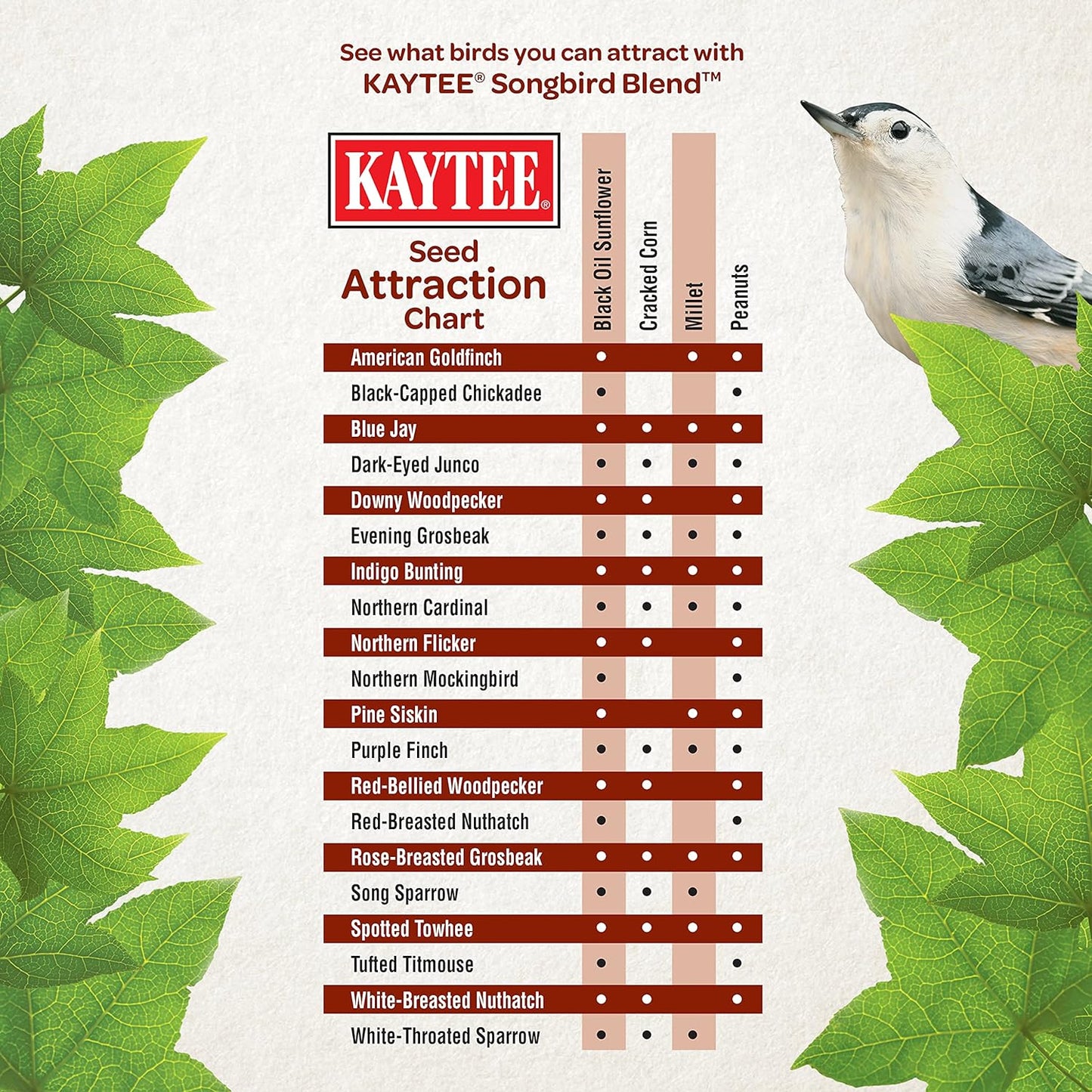 Kaytee Songbird Bird Seed Food Blend