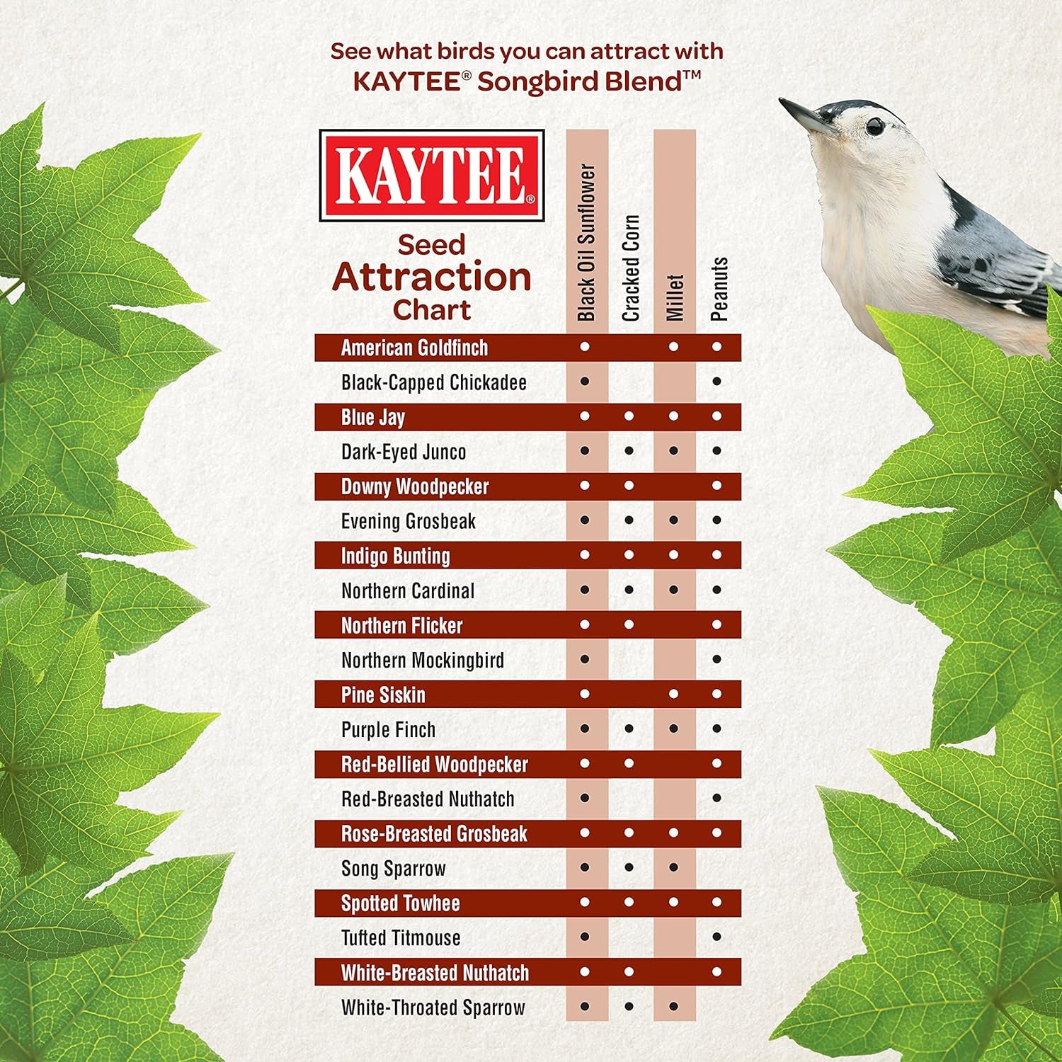 Kaytee Songbird Bird Seed Food Blend