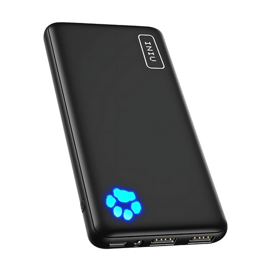 10,000 mAh Portable Charger