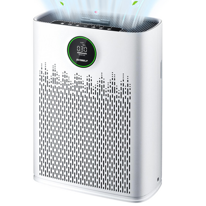 Ecoself Air Purifier XL