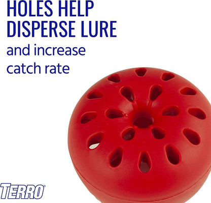 Terro Fruit Fly Trap