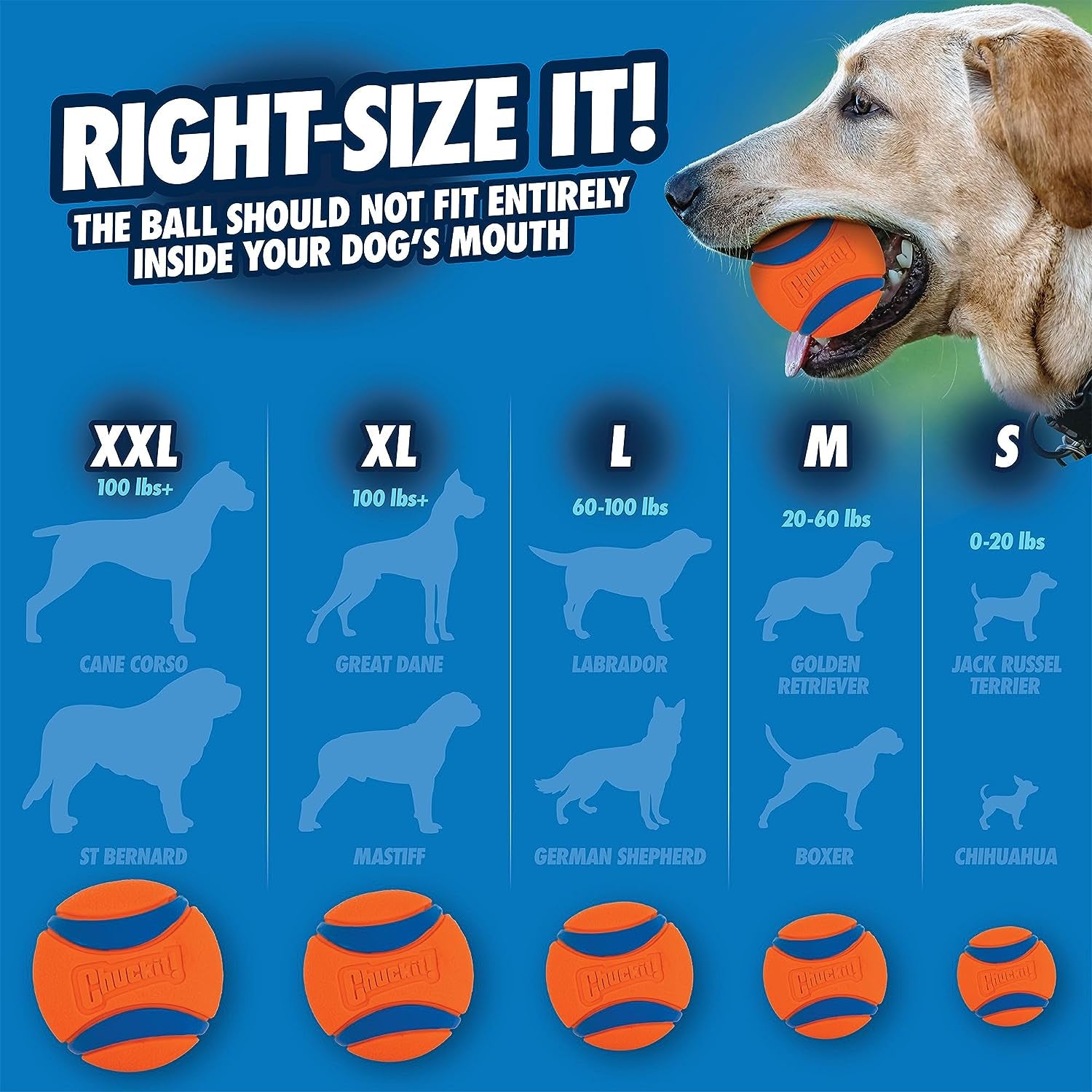 Chuckit! Dog Fetch Ball