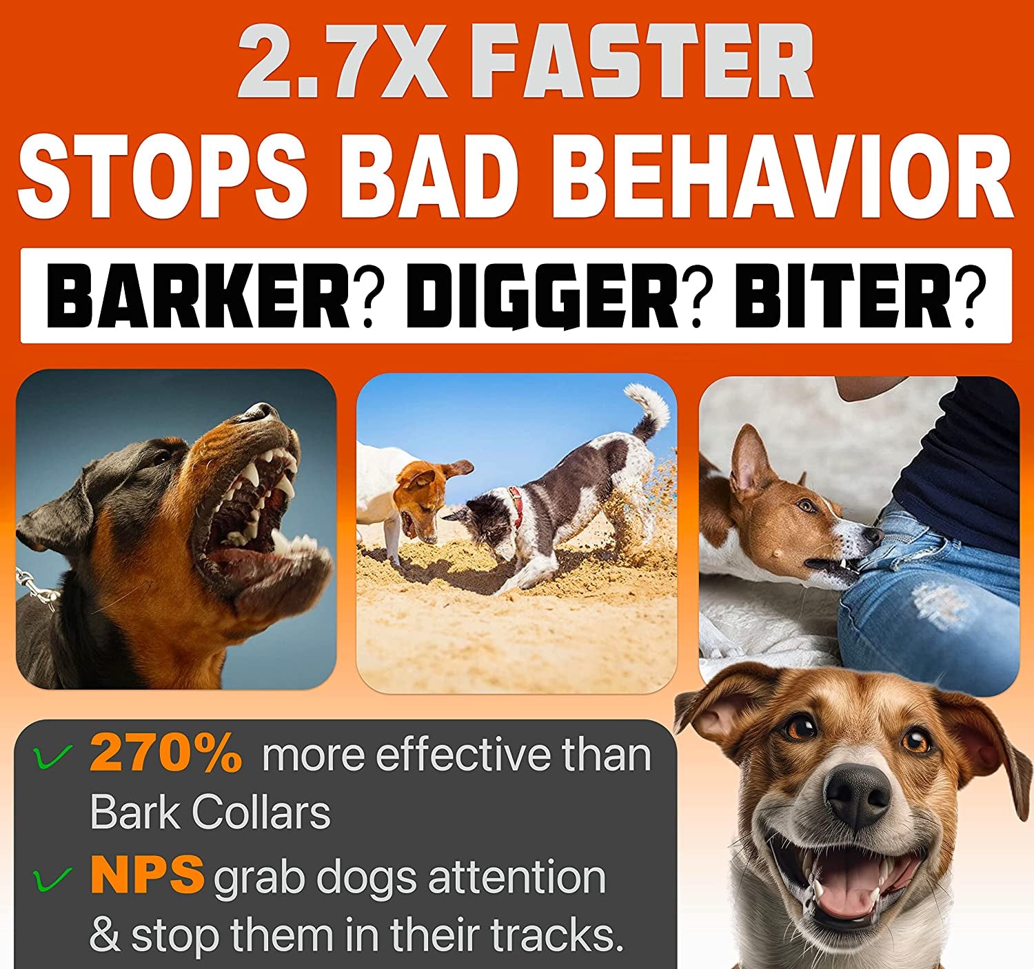 NPS Anti Barking Device