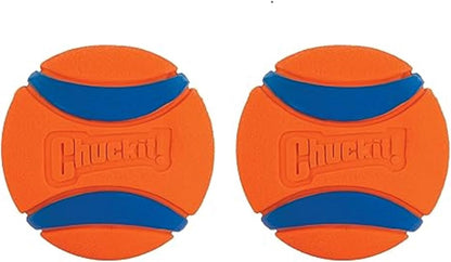 Chuckit! Dog Fetch Ball