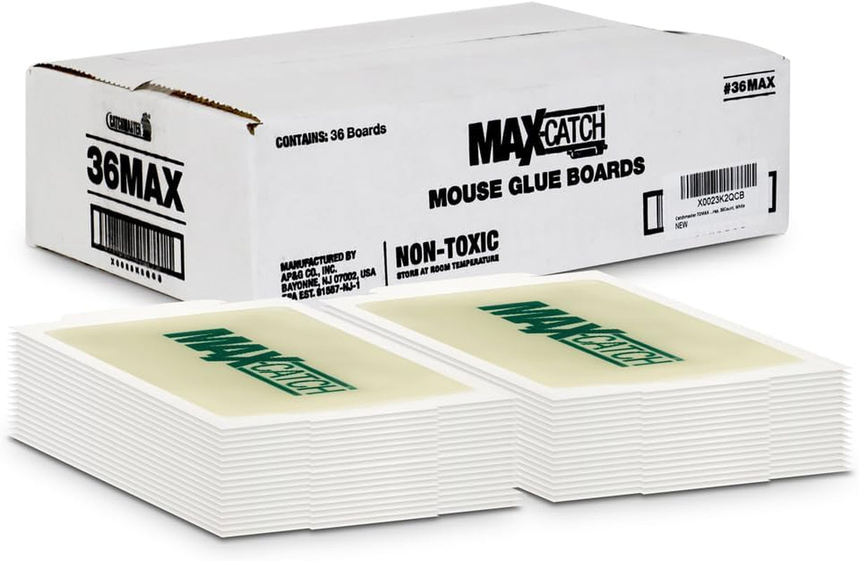 Max-Catch Mouse & Insect Glue Trap