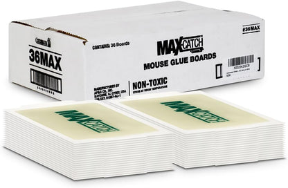 Max-Catch Mouse & Insect Glue Trap