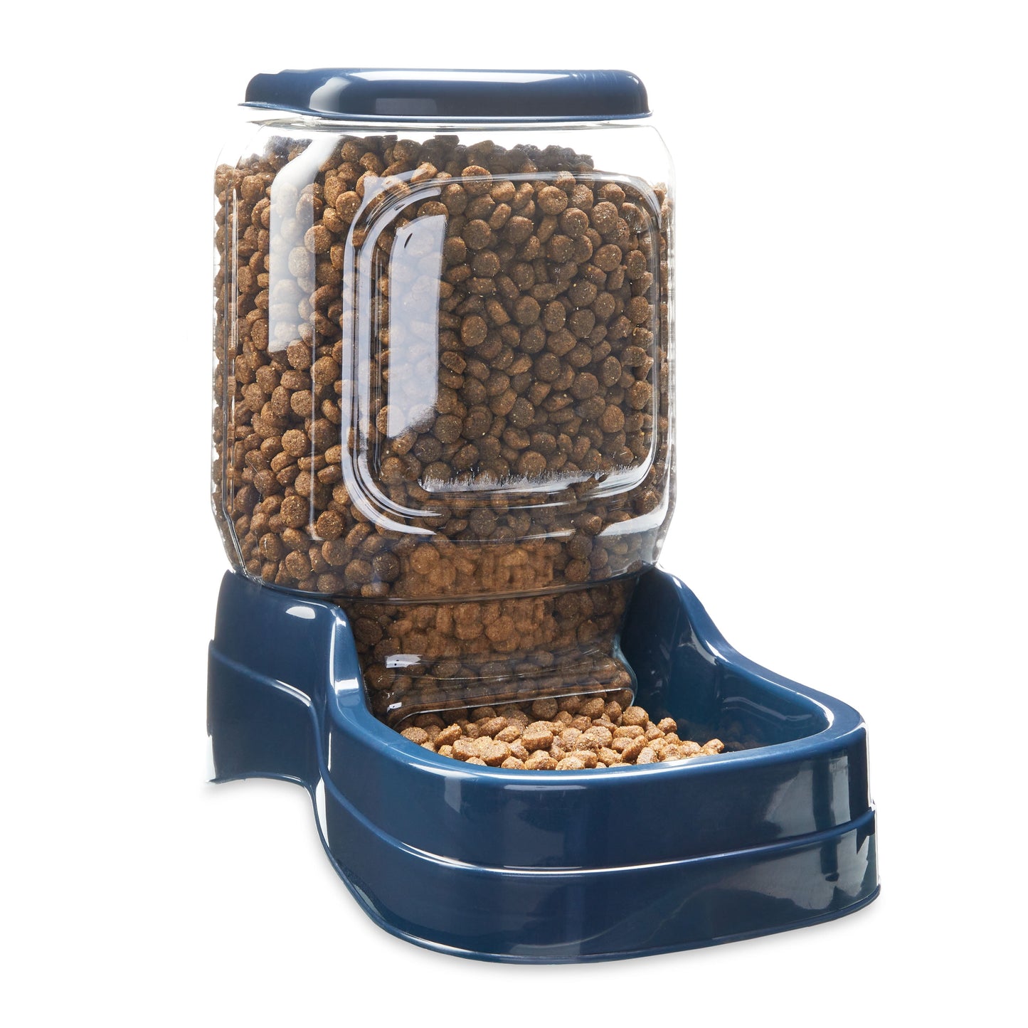 Vibrant Life Pet Feeder