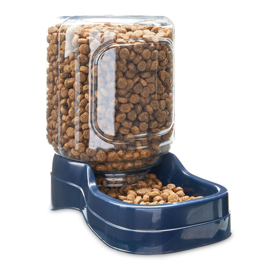 Vibrant Life Pet Feeder