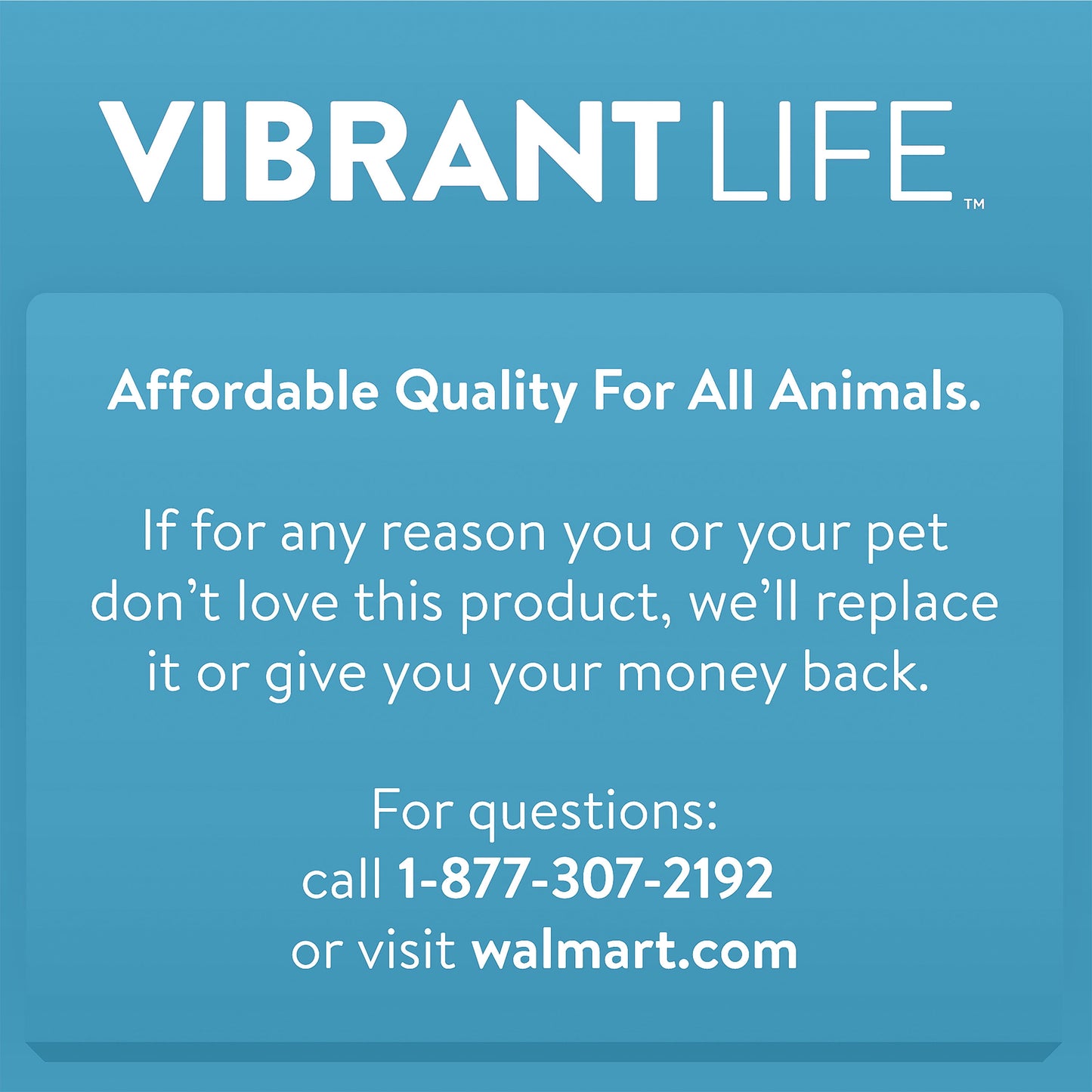 Vibrant Life Pet Feeder