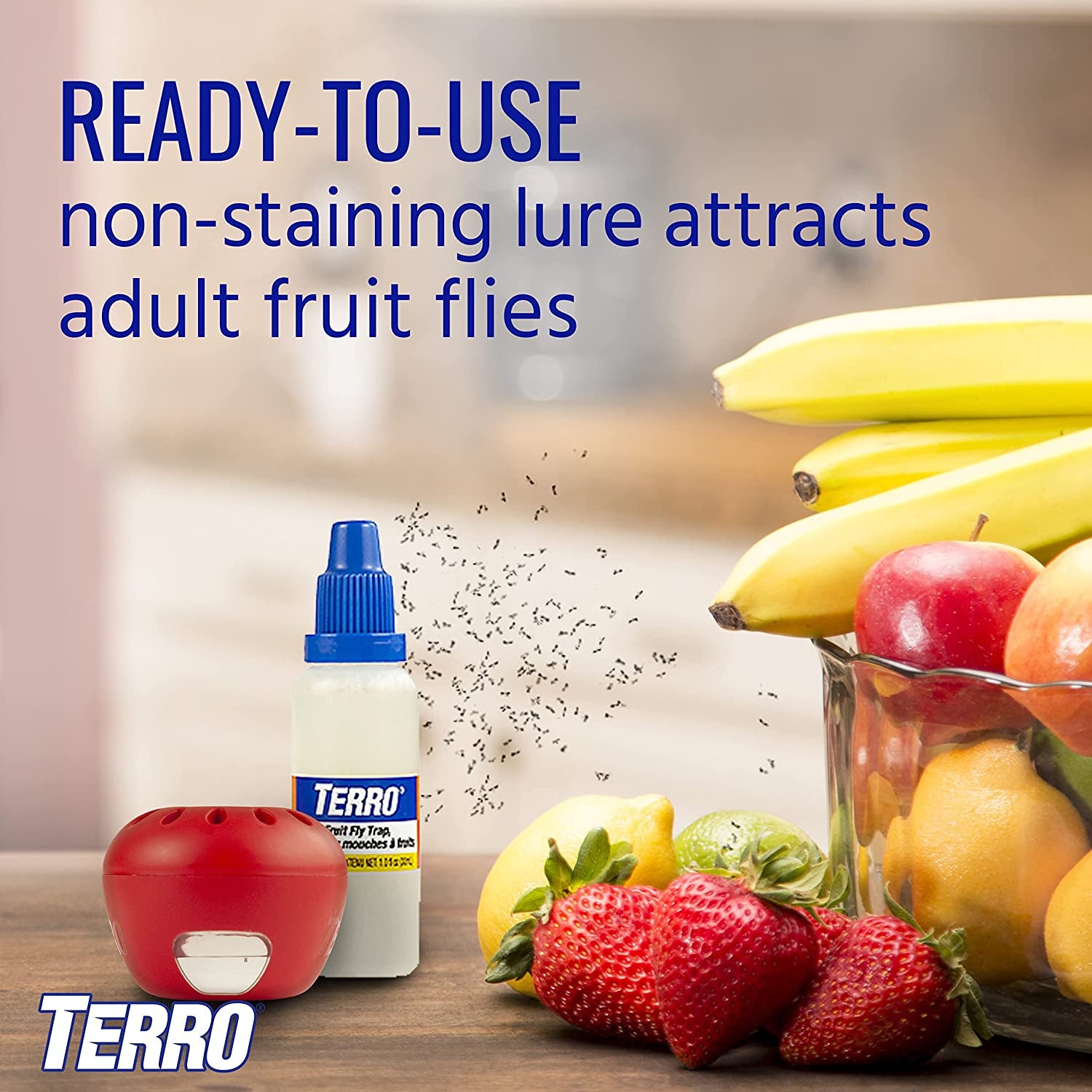 Terro Fruit Fly Trap